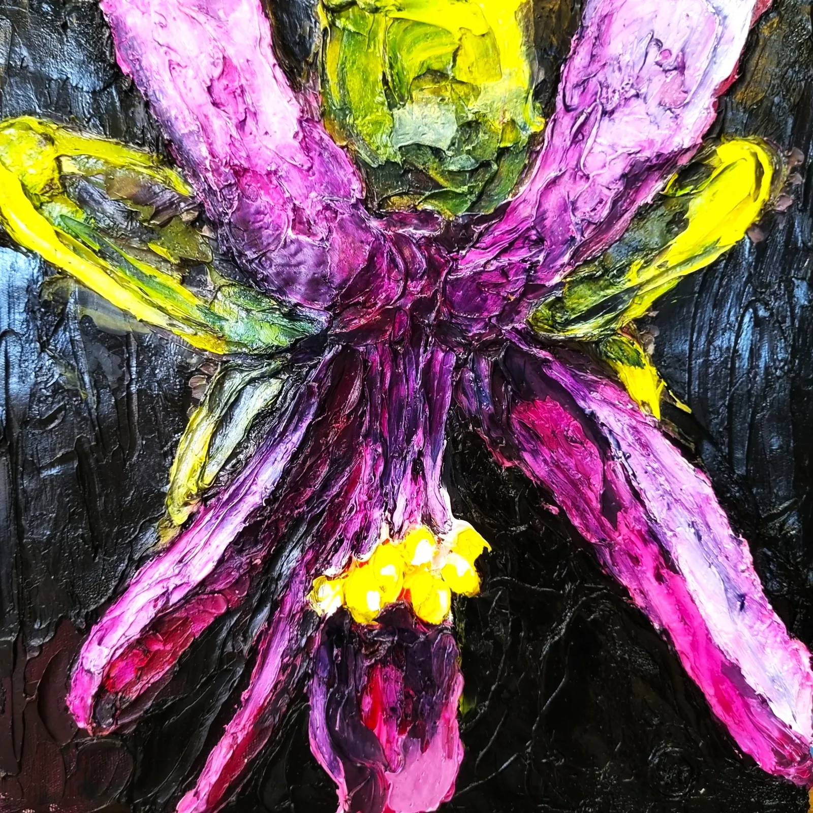 Pelargonium oreophilium by Lee-Ann Ormandy-Becker
